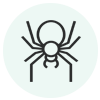 Spiders Removal services in NY