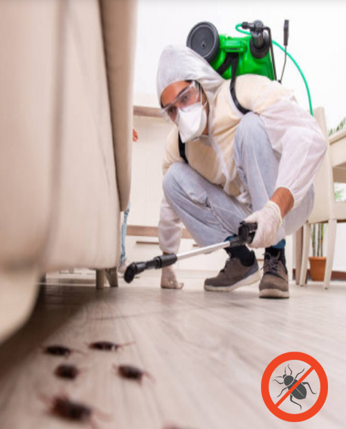 blue planer commercial pest control ny
